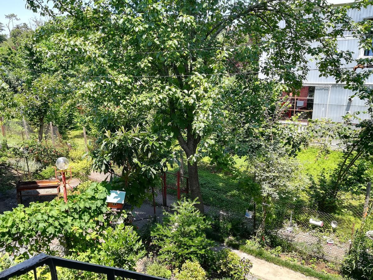 Guest House Of Givi Kobuleti Εξωτερικό φωτογραφία